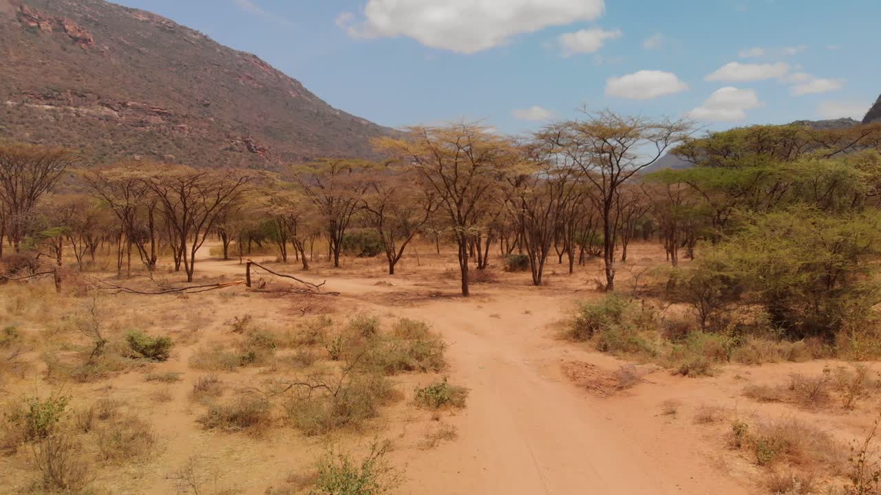 entrada a un pueblo samburu cerca del monte sagrado ololokwe, kenia