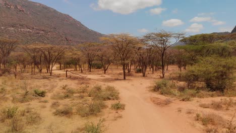 entrance to a samburu village near sacred mount ololokwe, kenya