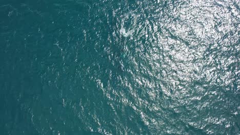 Aerial-View-Of-A-Large-Humpback-Whale-Swimming-Into-Deep-Sea-At-Summertime