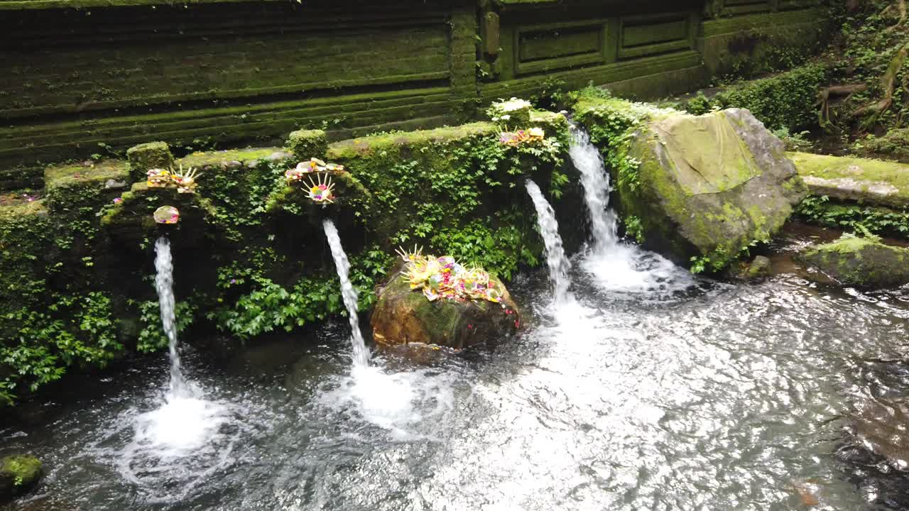 발리 힌두 물 사원 캐스케이드 와 멘긴  ⁇ 파크시링 정화 의식 고대 장소 에서 꽃 제물