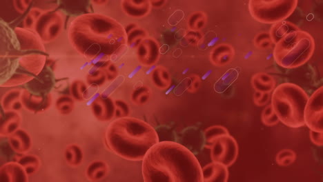 animazione di cellule in movimento su sfondo rosso
