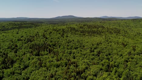 Aerial of the woods of Maine with mountains in the background