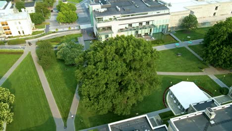 sculpture garden at virginia museum of fine arts - richmond, virginia | aerial view panning across | summer 2021