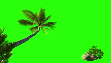 palm tree and bushes of grass with a stone on a green background.  3d animation for keying palms near the sea.