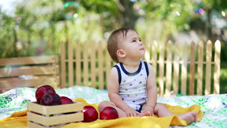 little baby boy sitting on the blanket in the garden. calm peaceful child watches soap bubbles. beautiful big red apples are near the kid.