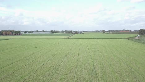 tomada de un avión no tripulado volando sobre el campo de la granja verde en los países bajos