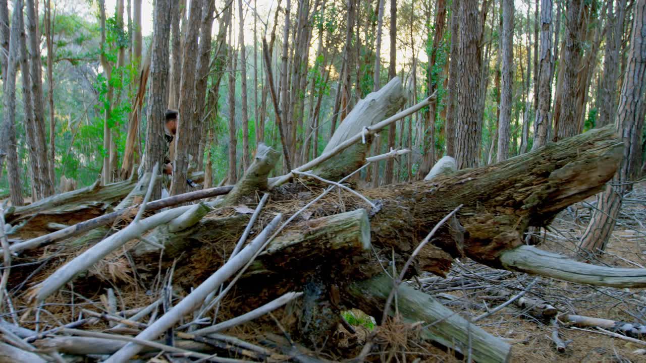 숲에서 복합 활을 겨냥하는 남자 4k