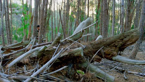 Mann-Zielt-Mit-Compoundbogen-Im-Wald-4k