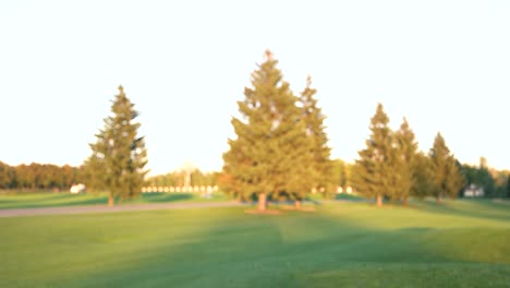 blurred nature during summer.