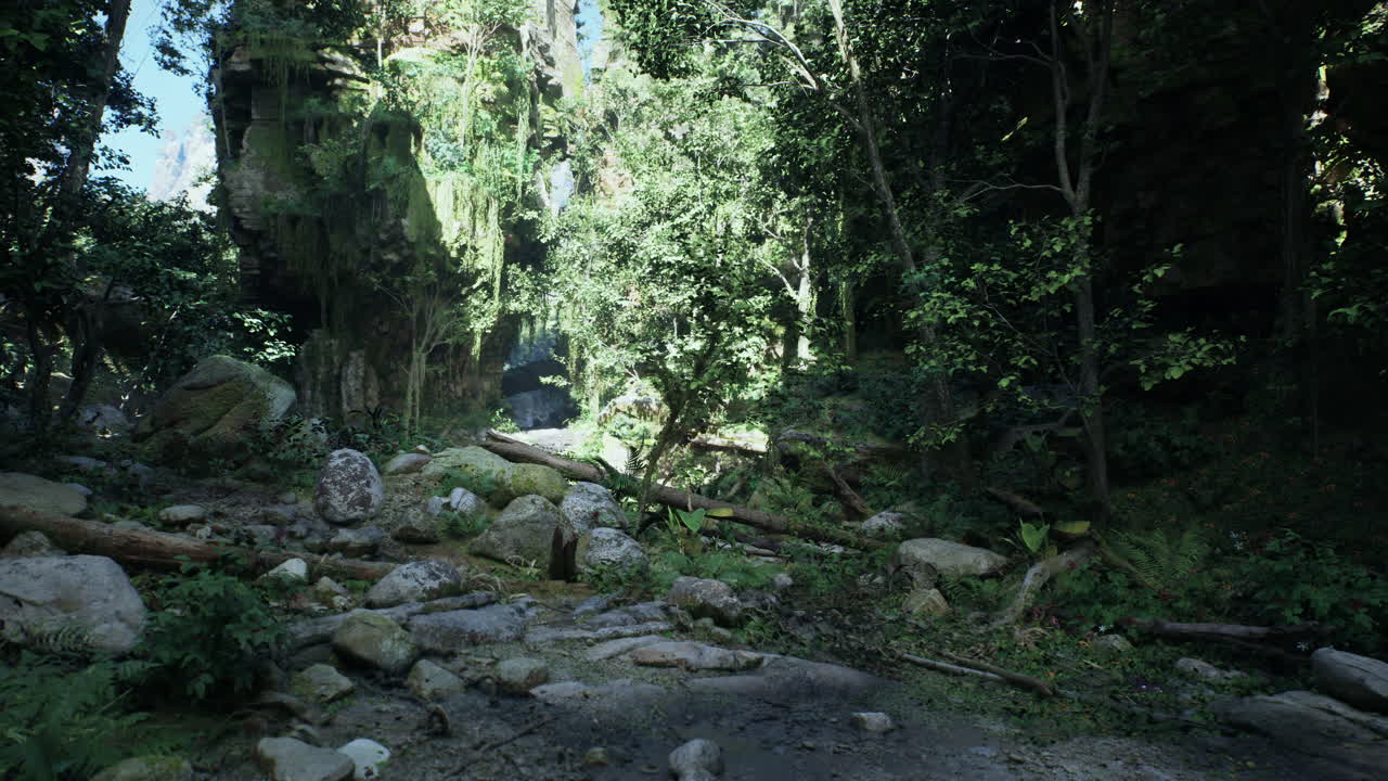 아름다운 초록색 정글과 나무를 통해 빛나는 태양