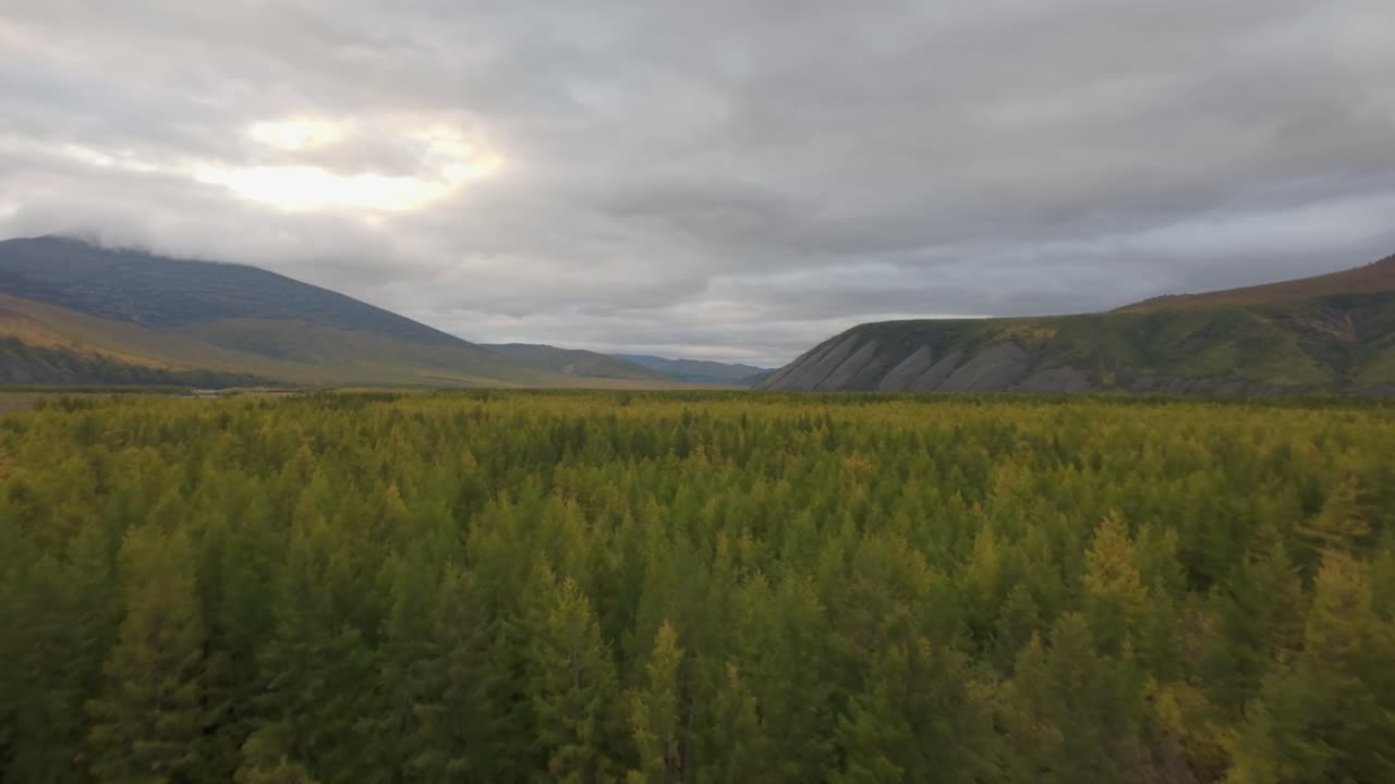 experimenta la impresionante belleza de vastos bosques y majestuosas montañas iluminadas por la suave luz de la mañana, mostrando la tranquilidad de la naturaleza en un lugar remoto.
