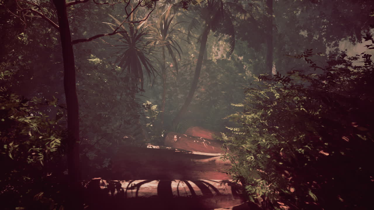 신비로운 정글 길