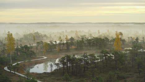 Amanecer-En-Un-Pantano