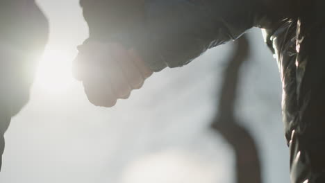 a close-up of an adult and a child holding hands, illuminated by the soft glow of sunlight, with blurred view of a tree, the child is wearing a jacket with the adult