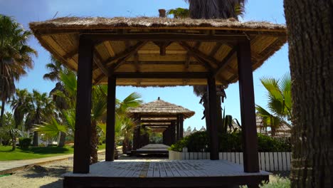 straw roofs bungalows on tropical resort with palm trees on a sunny windy day