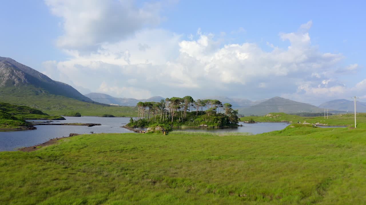 сосновый остров, озеро дерриклар, коннемара, графство галуэй, июль 2021 года