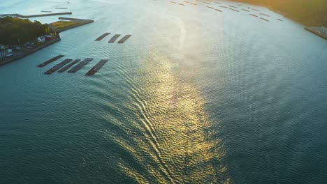 aerial view of toba bay and oyster farms in mie prefecture at dawn