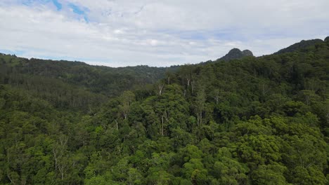 Vista-Aérea-De-La-Selva-Tropical-Verde-Cerca-Del-Valle-De-Currumbin-En-Australia