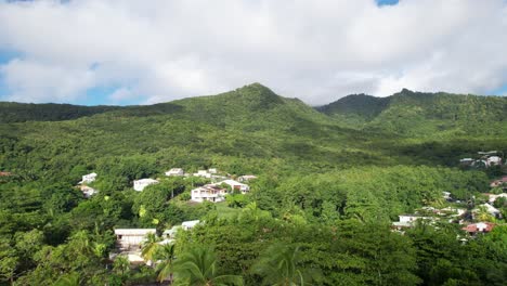 houses immersed in wild nature near plage de grande anse beach, guadeloupe