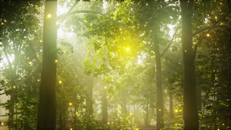 un bosque mágico encantado con luciérnagas