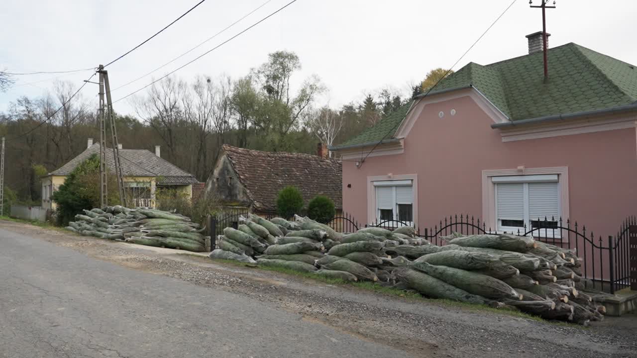 Wrapped Christmas trees stacked outside village homes