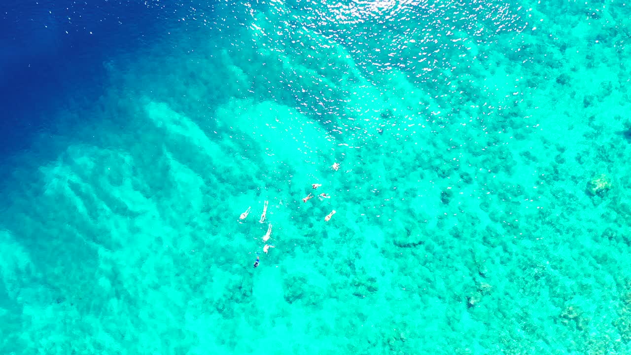 la gente bucea y nada en aguas tranquilas y claras de la laguna turquesa poco profunda observando hermosas rocas y arrecifes de coral en el fondo marino de australia