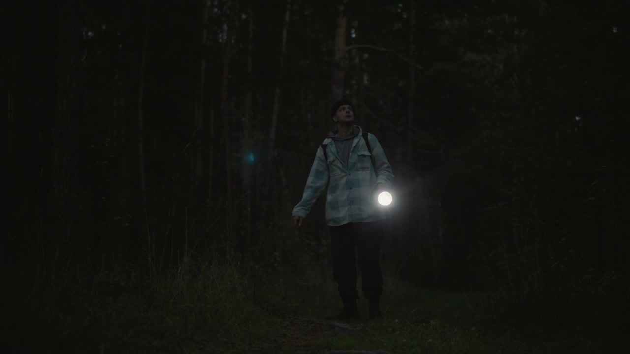 Nattvandrer i furuskog med lommelykt som guider gjennom ildflueglød. Ensom utendørsutforsker går langs smal sti inn i mørke skoger, med ryggsekk slengt over skulderen, og oppdager bioluminescerende lys
