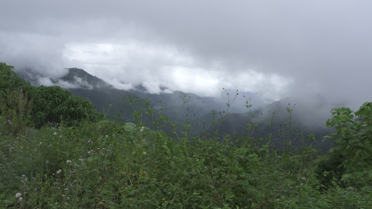 산들은 구름으로 여 있습니다.