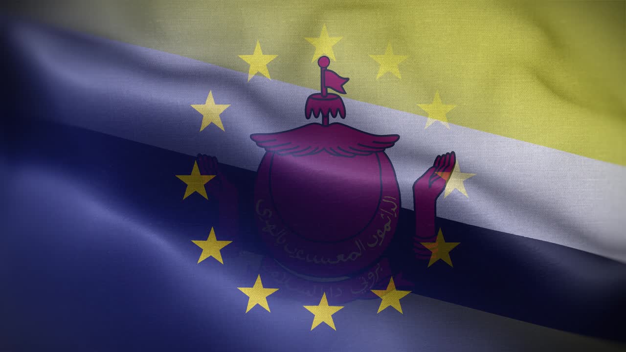 eu 브루나이 발 루프 배경