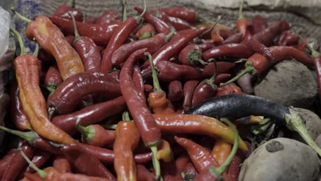 pimienta de chile roja gigante en la tienda de verduras para la venta por la noche