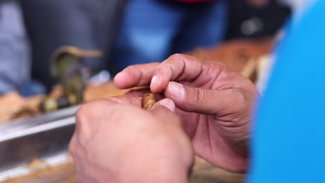 slow motion shot of aged and wrinkled hands delicately rolling a cigar in the caribbean