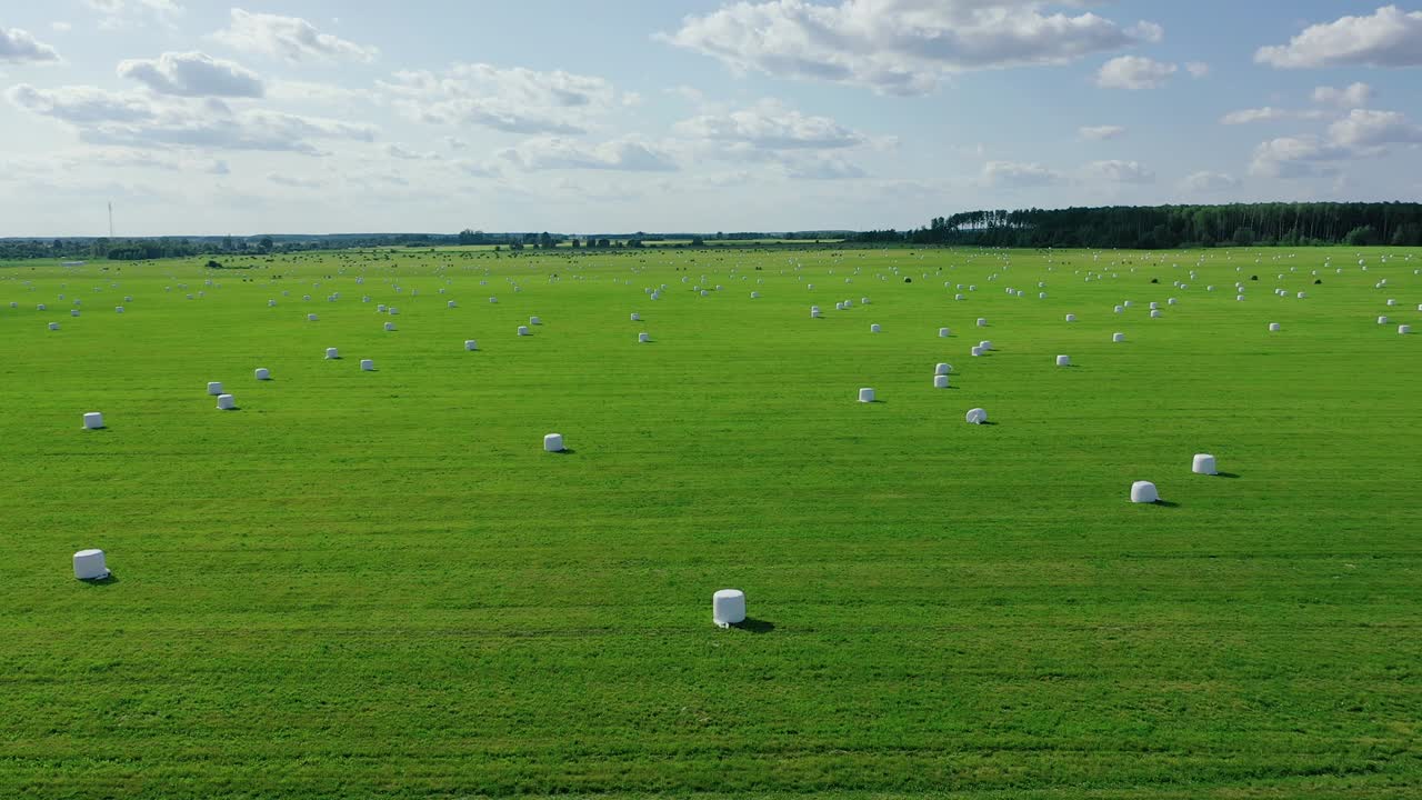 운송을 위해 패키지에 싸인  로 된 시골 필드