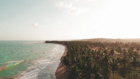 Beach-coastline-during-sunset,-palm-trees-are-forming-the-forest-near-the-coast