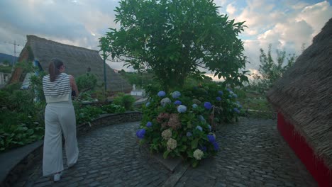 footgae of hydrangea plant shot in madeira portugal at traditional a-shaped houses village in santana filmed with cinematic movement