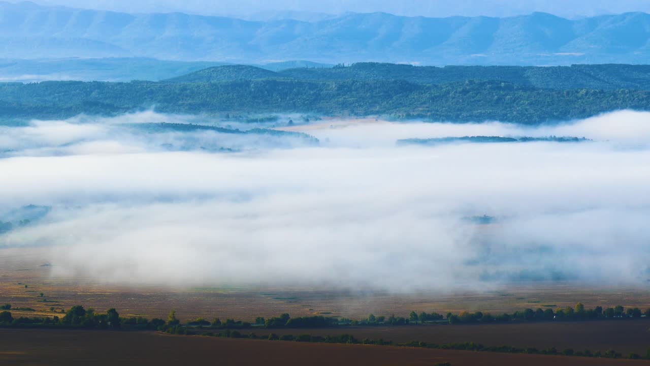 11월 안개 자욱한 아침