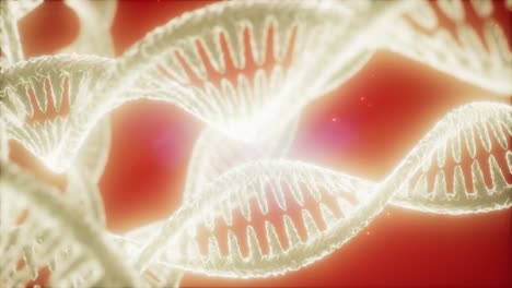 Struktur-Der-DNA-Doppelhelix-Animation