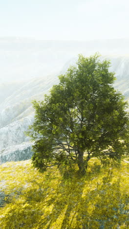 Solitary Tree on a Mountaintop
