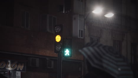 pedestrians walking across the street at green traffic lights night view in the rain