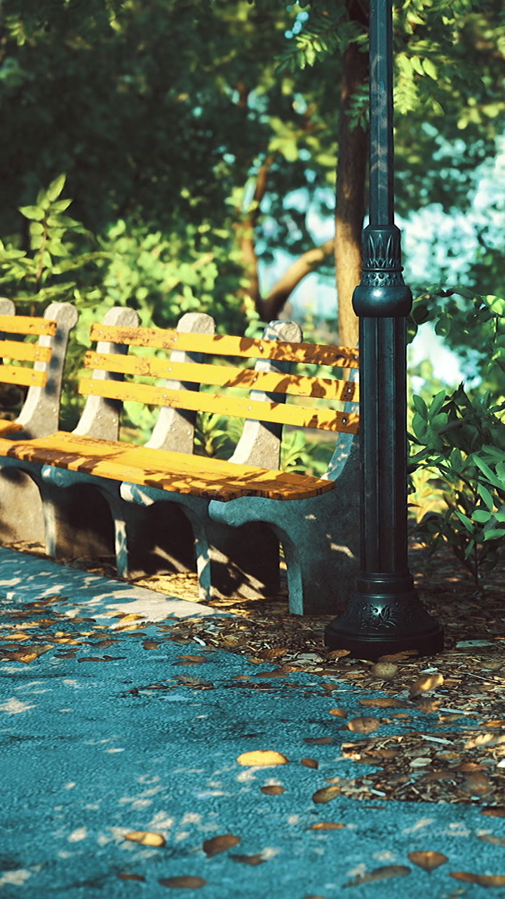 Benches under trees in a park with fallen leaves on the ground