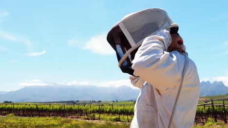 beekeeper wearing beesuit while preparing for harvest