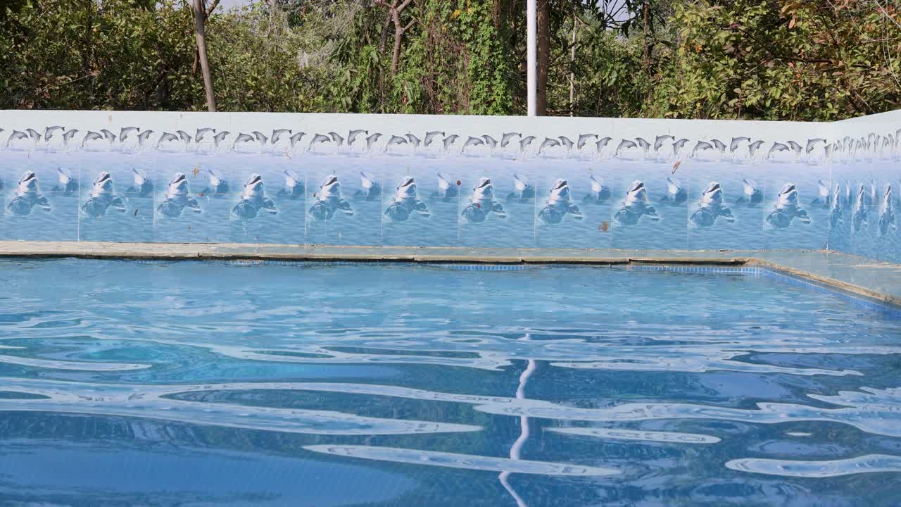 Isoleret swimmingpool med klare vandkrusninger om morgenen.