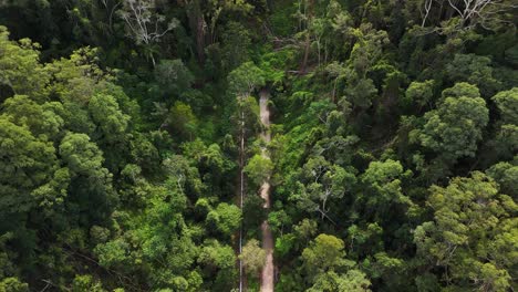 revealing aerial view of the northern rivers rail trail leading to the old burringbar range train tunnel. tweed heads australia.