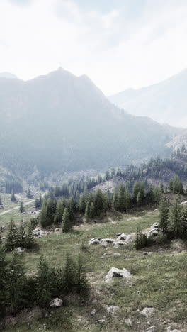 grassy field with trees and mountains