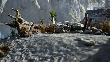 white sand beach near rocky cliffs at ocean