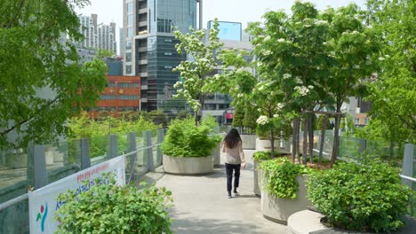 back view of the woman walking along seoullo 7017 skygarden park walkway