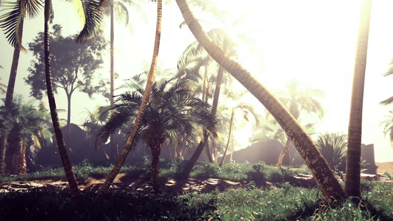 Sunlight filters through palm trees in a tropical landscape at dawn
