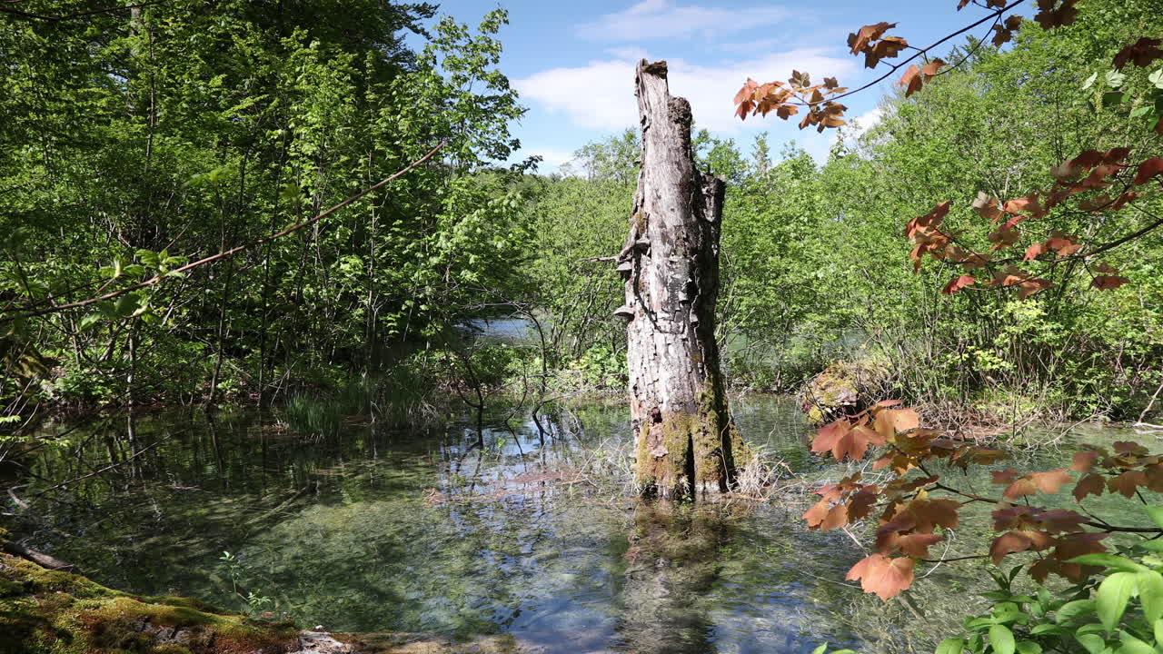 Plitvice 4K 20