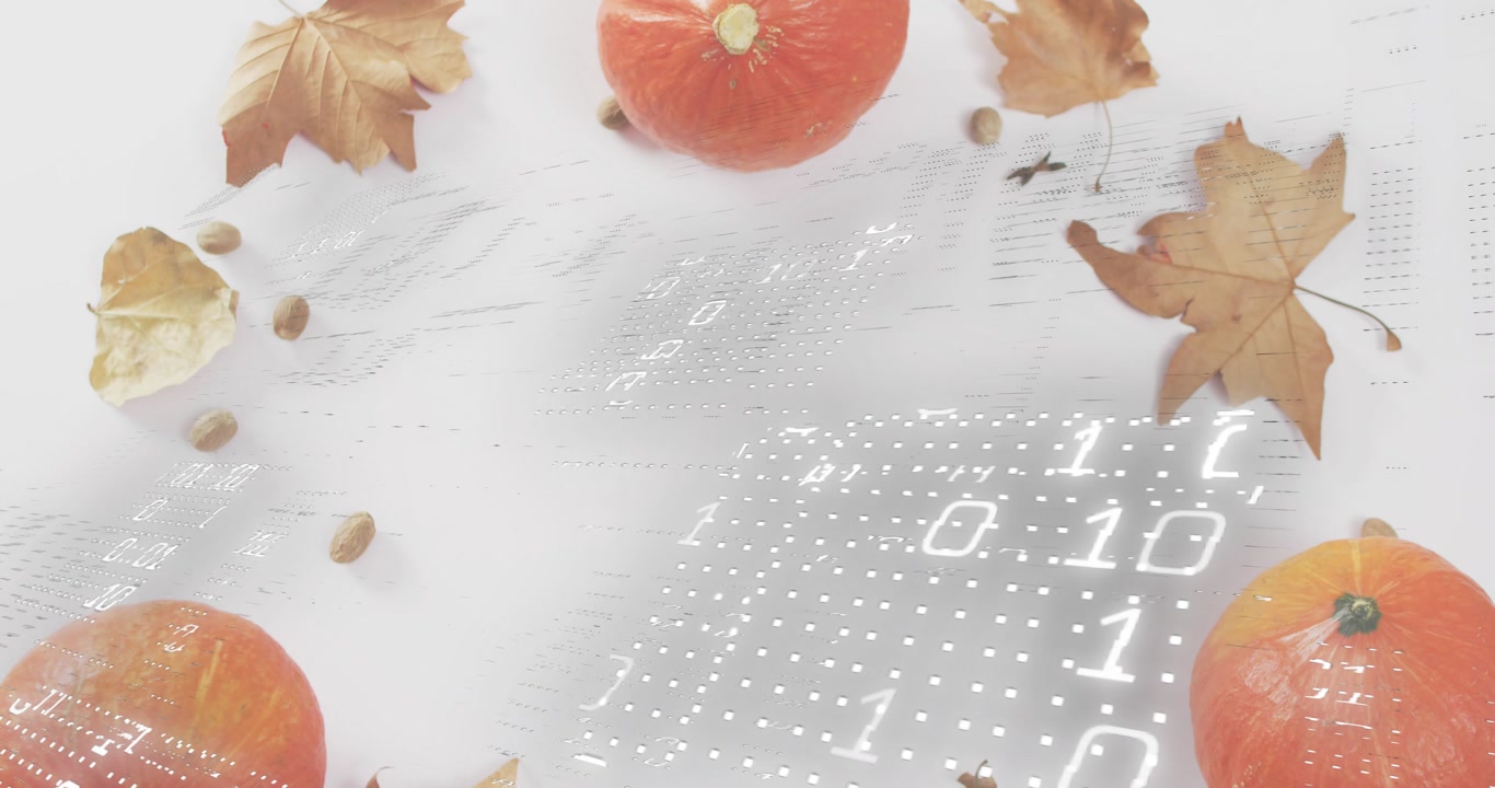 Grid emerging at third second on white cloth, binary digits pulsing before dissolving over pumpkins