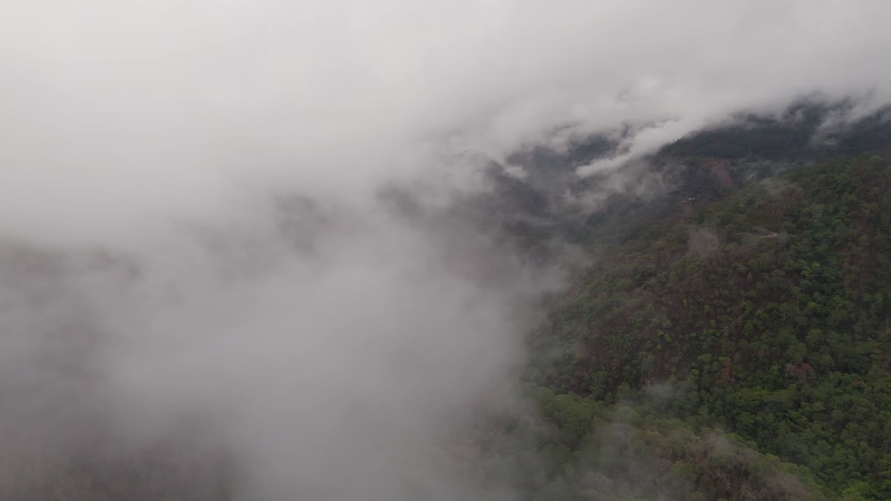 Aerial flight through misty mountains and dense green forest, nature at its best.