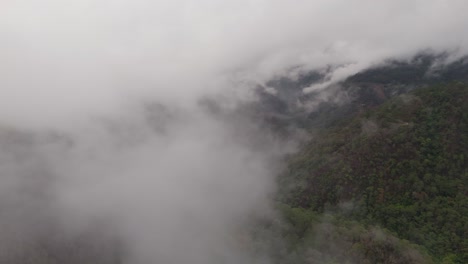 aerial flight through misty mountains and dense green forest, nature at its best.